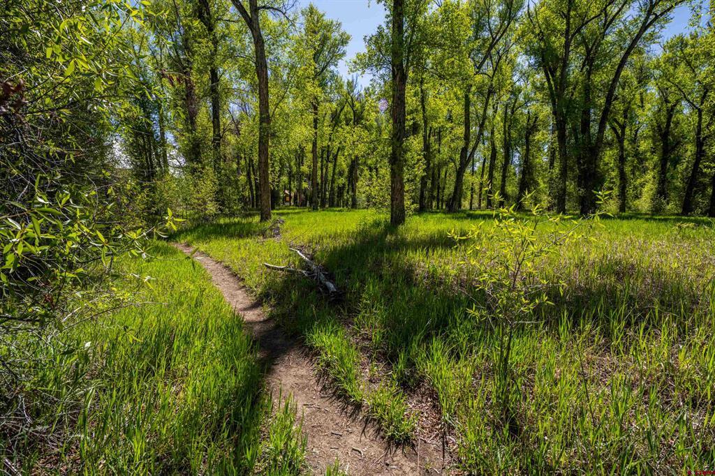 255 Riverwalk Drive Gunnison CO 81230