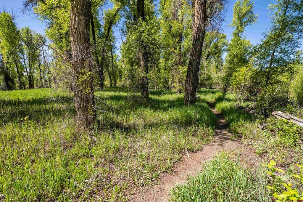 255 Riverwalk Drive Gunnison CO 81230