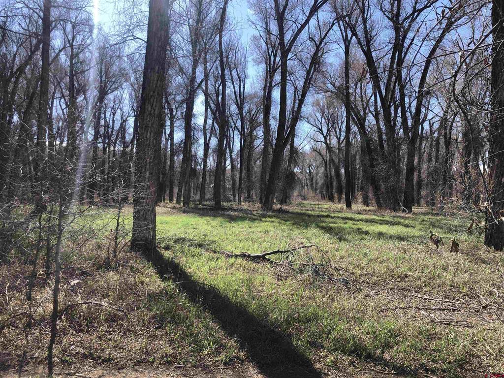 255 Riverwalk Drive Gunnison CO 81230