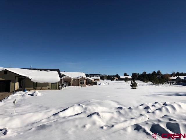 1195 Hills Circle Pagosa Springs CO 81147