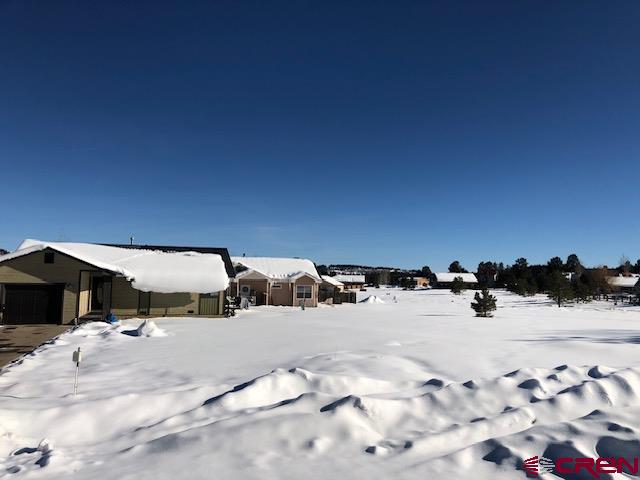 1195 Hills Circle Pagosa Springs CO 81147