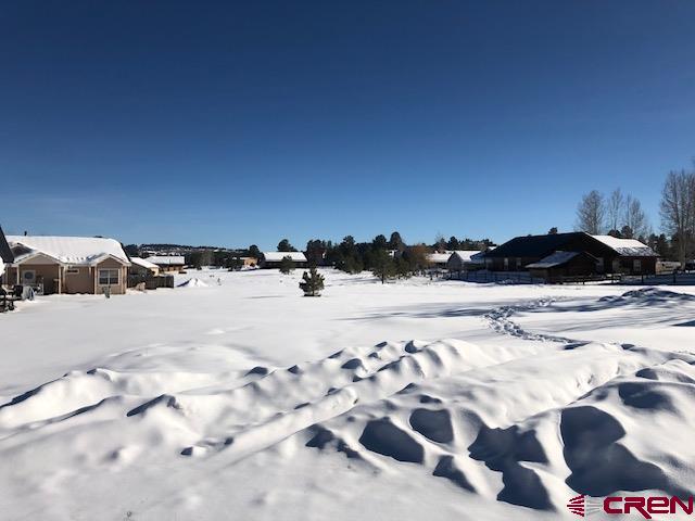 1195 Hills Circle Pagosa Springs CO 81147