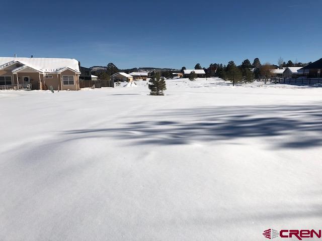 1195 Hills Circle Pagosa Springs CO 81147