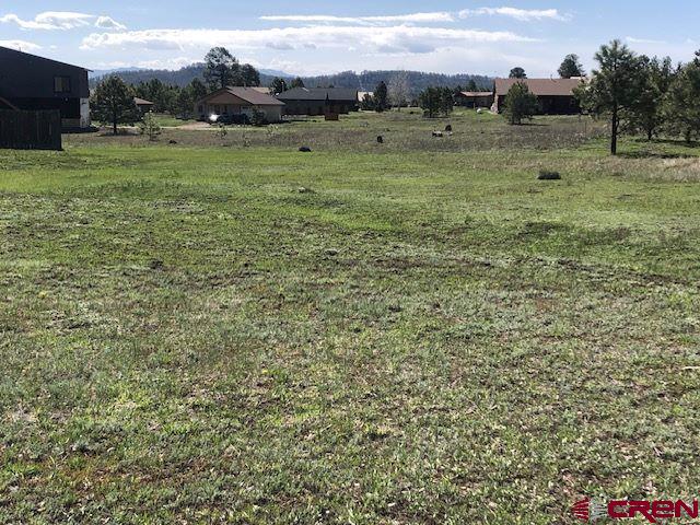 1195 Hills Circle Pagosa Springs CO 81147