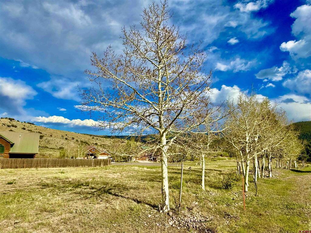 28 Fairway Drive South Fork CO 81154