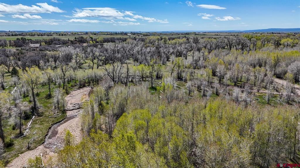 Tbd County Road 122a Hesperus CO 81326