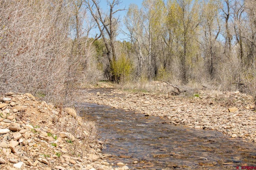 Tbd County Road 122a Hesperus CO 81326