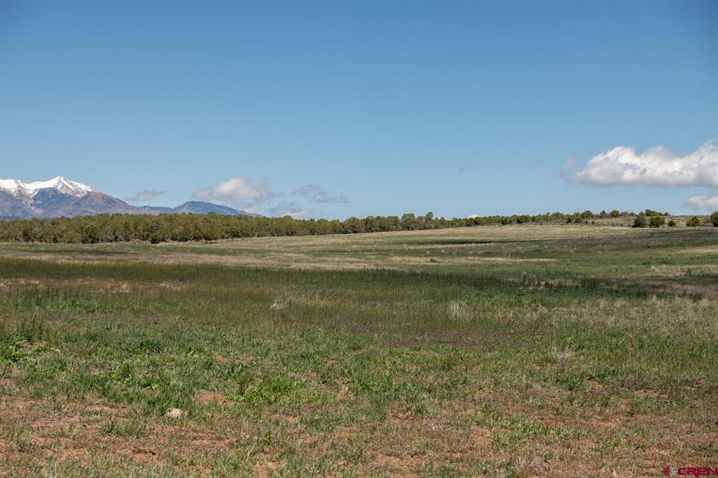 Tbd County Road 122a Hesperus CO 81326