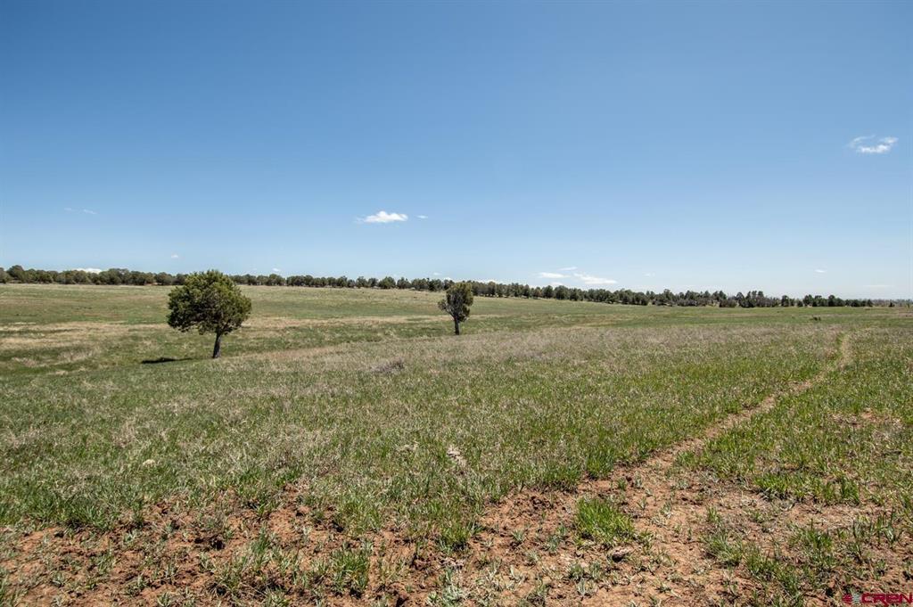 Tbd County Road 122a Hesperus CO 81326