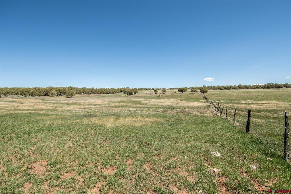 Tbd County Road 122a Hesperus CO 81326