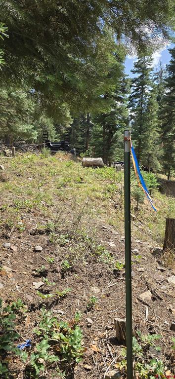 140 Fedel Court Ouray CO 81427