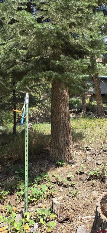 140 Fedel Court Ouray CO 81427