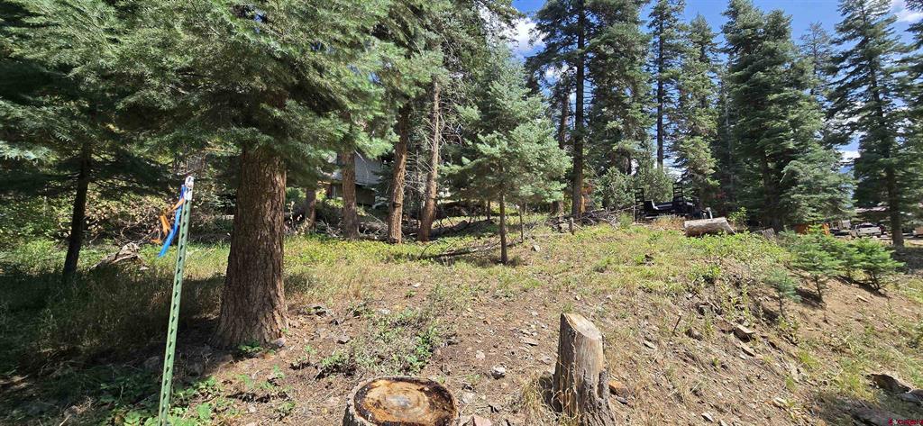 140 Fedel Court Ouray CO 81427