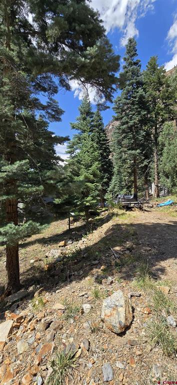 140 Fedel Court Ouray CO 81427