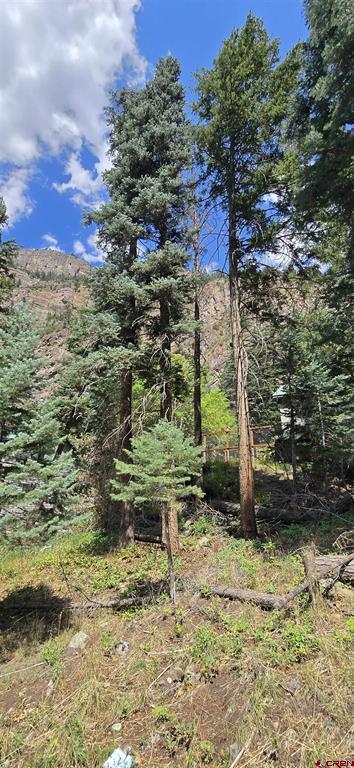 140 Fedel Court Ouray CO 81427