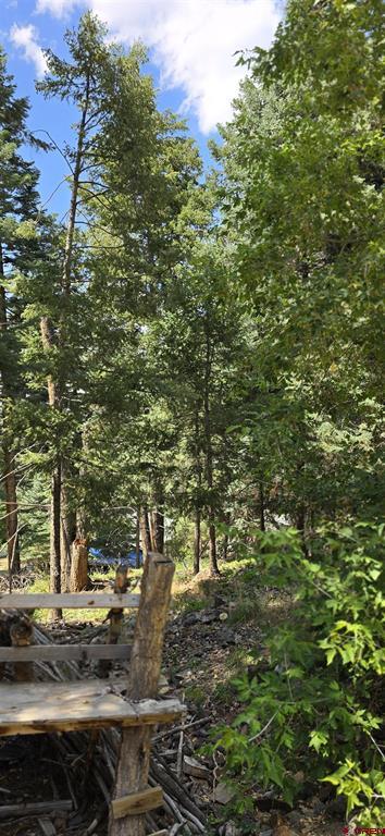 140 Fedel Court Ouray CO 81427