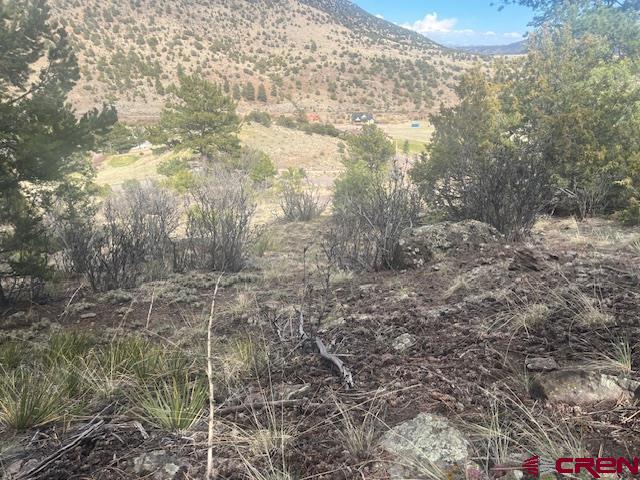 65 Timberline Trail South Fork CO 81154