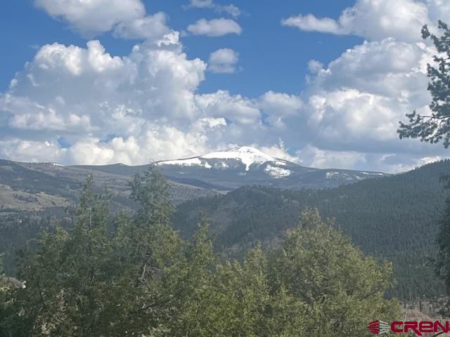 65 Timberline Trail South Fork CO 81154