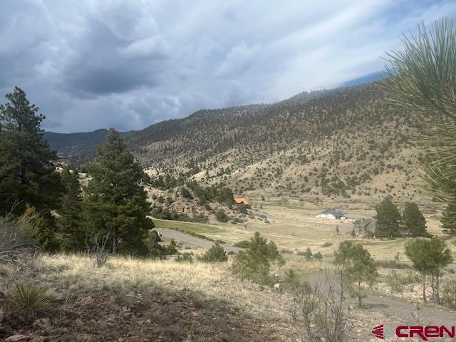 65 Timberline Trail South Fork CO 81154