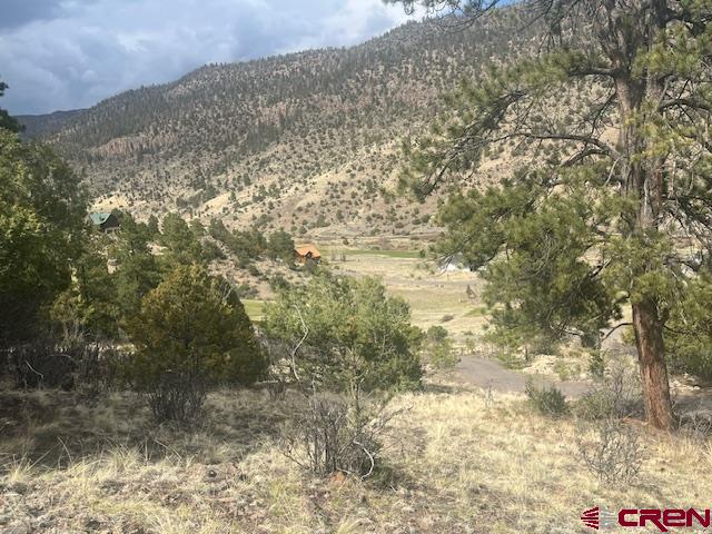 65 Timberline Trail South Fork CO 81154