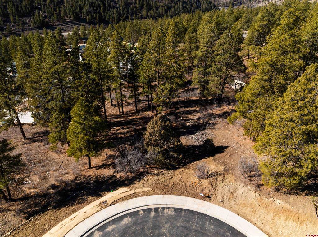 111 Winterberry Court (Lot 126) Durango CO 81301