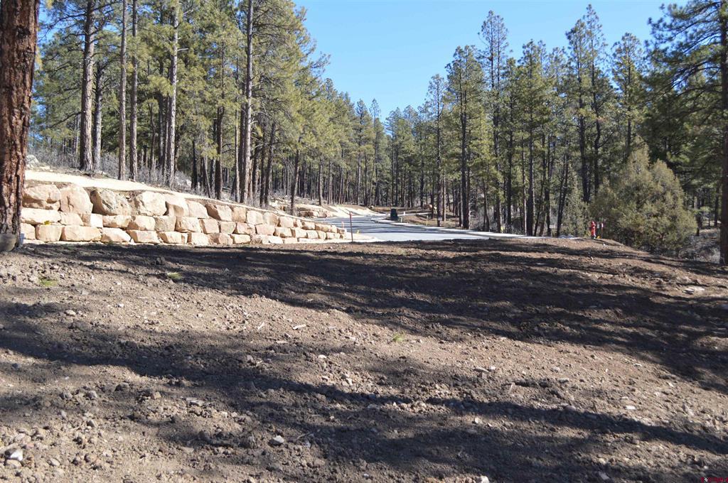 111 Winterberry Court (Lot 126) Durango CO 81301
