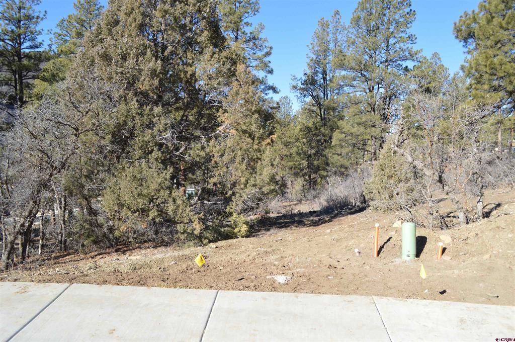 111 Winterberry Court (Lot 126) Durango CO 81301