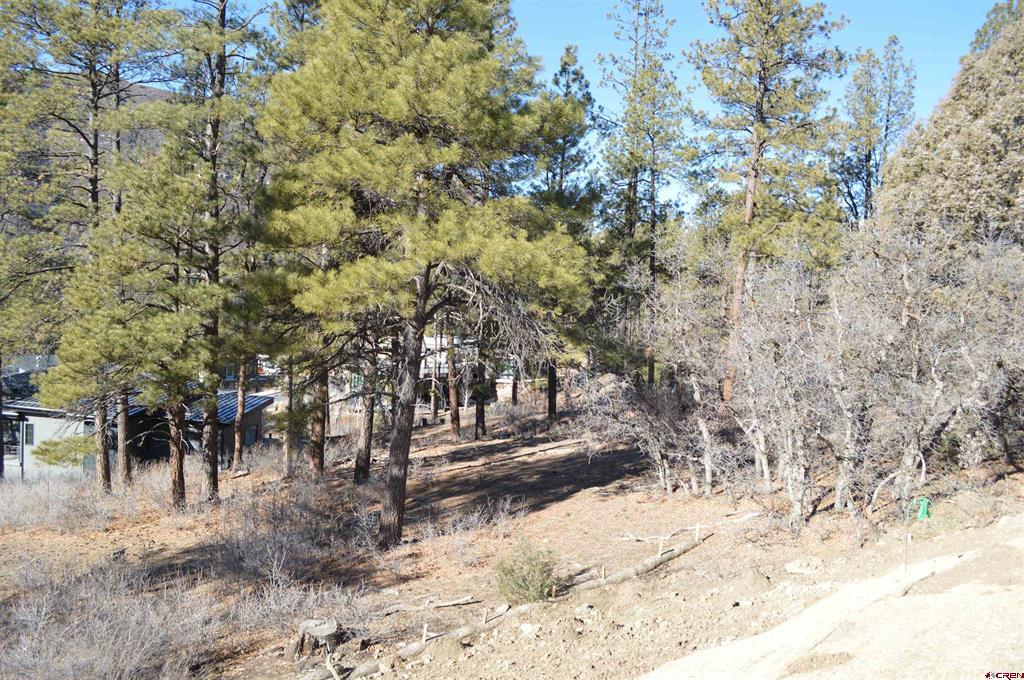 111 Winterberry Court (Lot 126) Durango CO 81301
