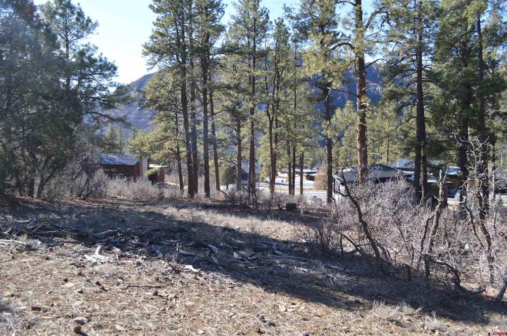 111 Winterberry Court (Lot 126) Durango CO 81301