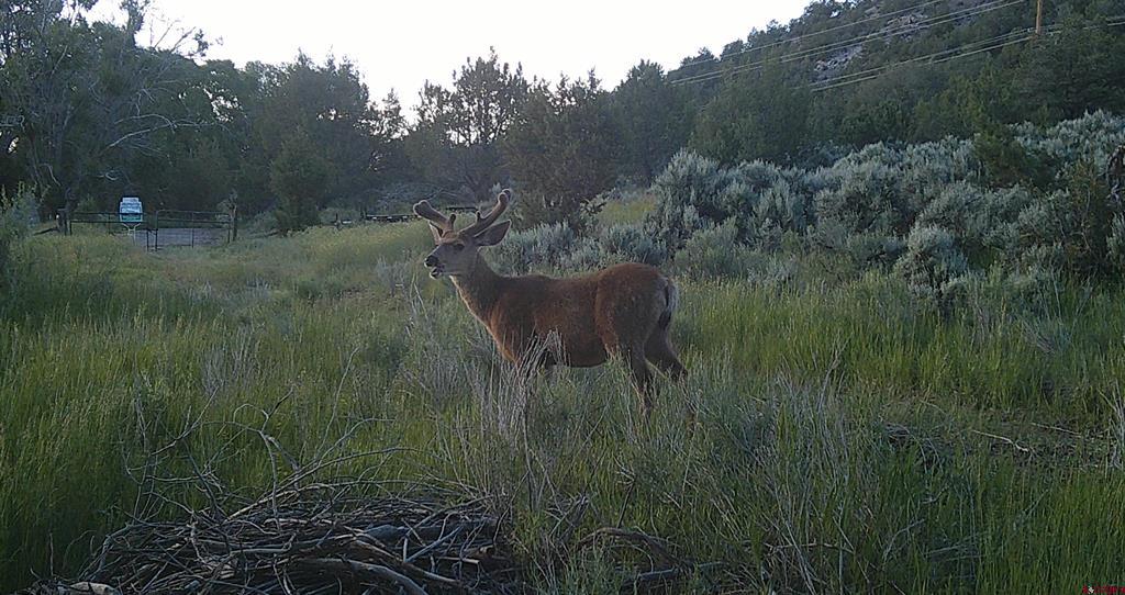 Tbd (Mile 102) 550 Highway Ridgway CO 81403