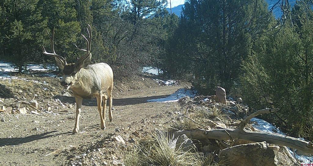 Tbd (Mile 102) 550 Highway Ridgway CO 81403
