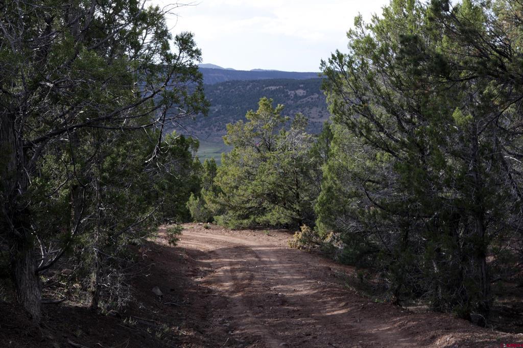 Tbd (Mile 102) 550 Highway Ridgway CO 81403