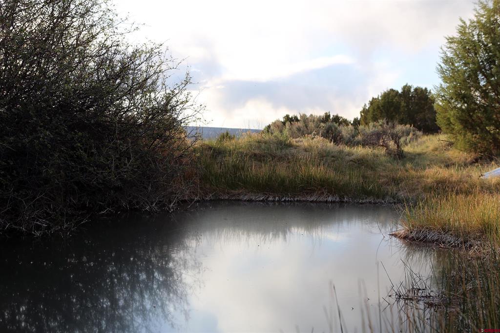 Tbd (Mile 102) 550 Highway Ridgway CO 81403