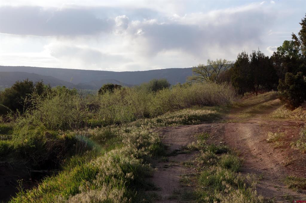 Tbd (Mile 102) 550 Highway Ridgway CO 81403