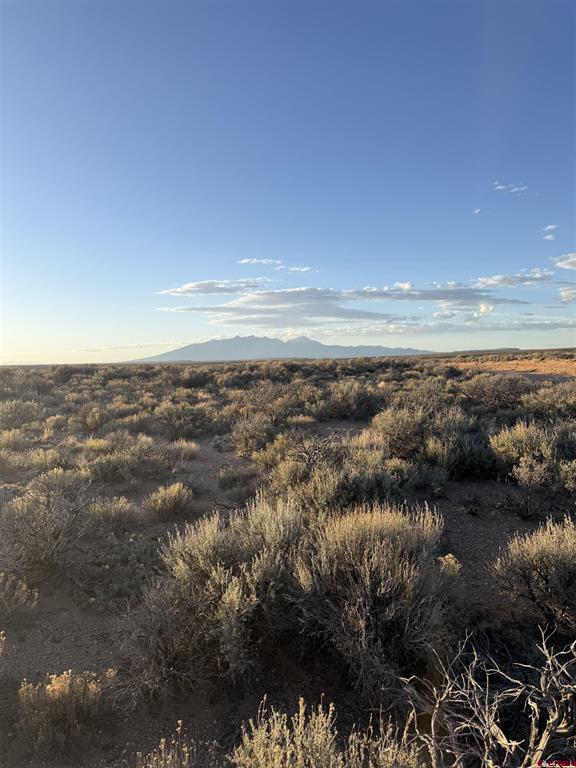 Tbd Coronado Road San Luis CO 81152