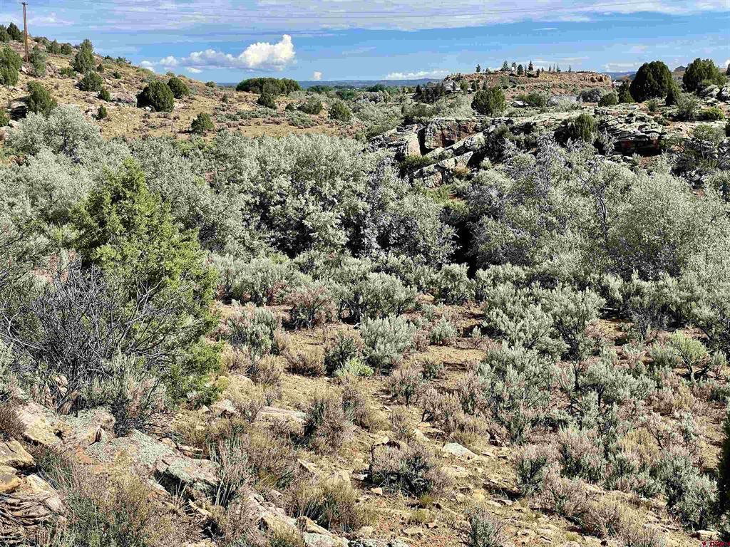 Tract 11 N Broadway Cortez CO 81321