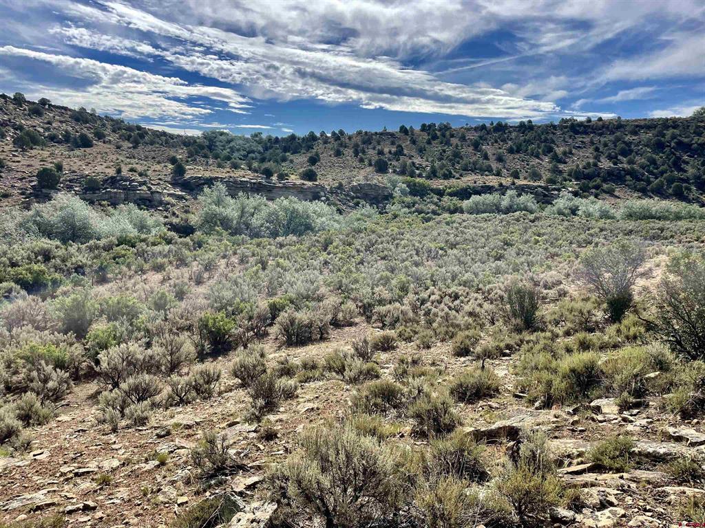 Tract 11 N Broadway Cortez CO 81321