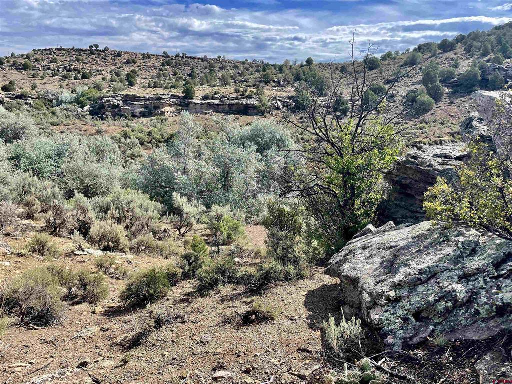 Tract 11 N Broadway Cortez CO 81321