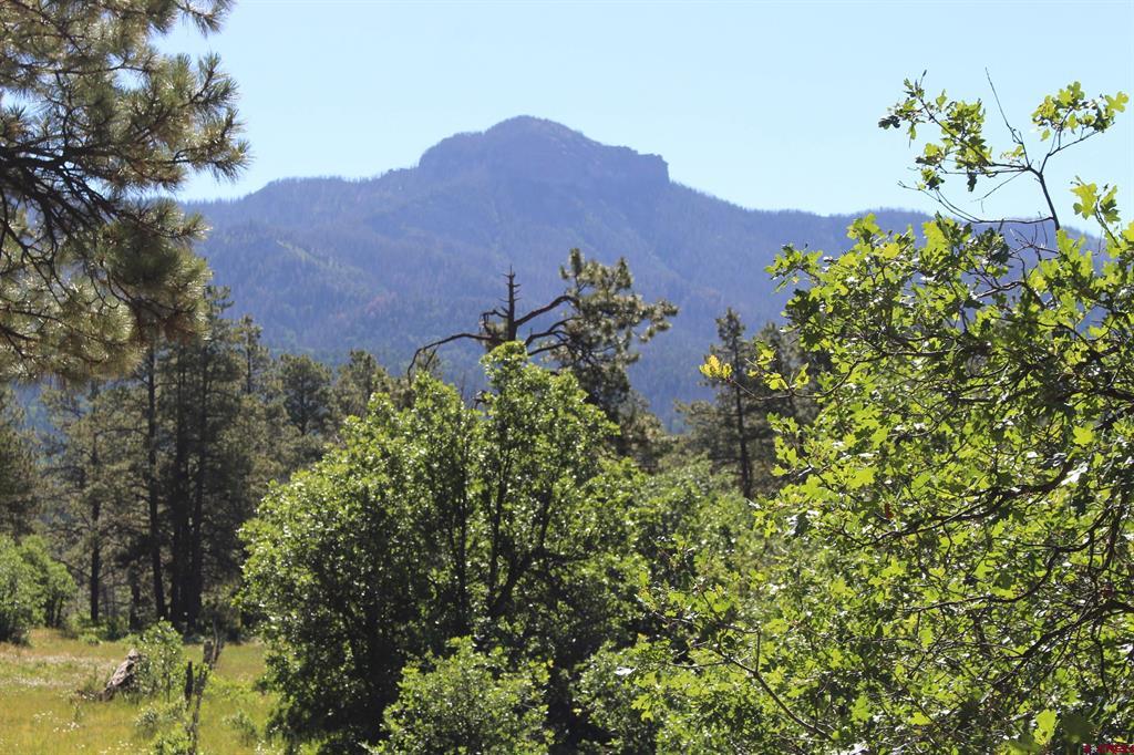 Pagosa Springs CO, 1422 Needles View