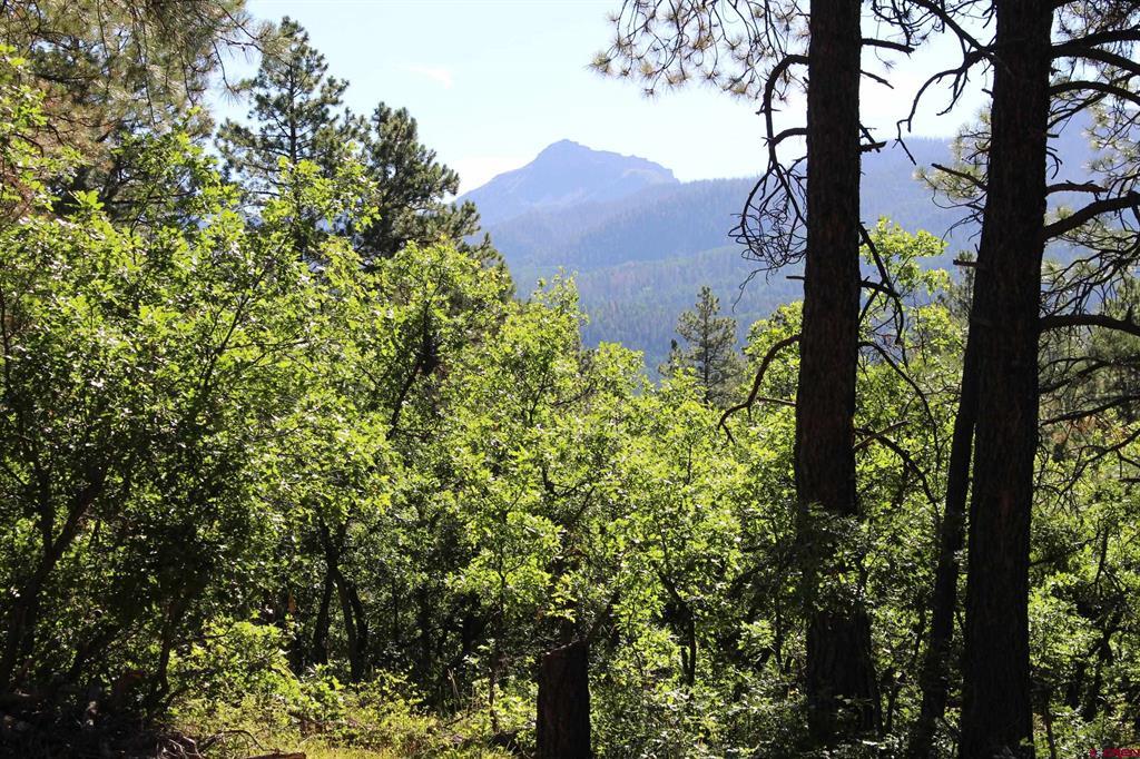 1422 Needles View Place Pagosa Springs CO 81147