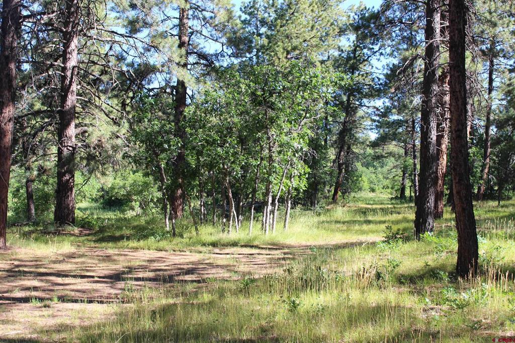 1422 Needles View Place Pagosa Springs CO 81147