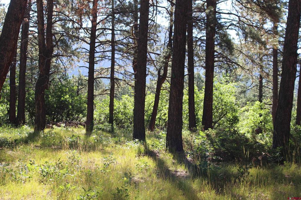 1422 Needles View Place Pagosa Springs CO 81147