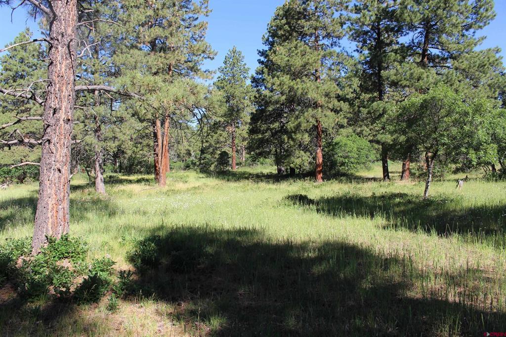 1422 Needles View Place Pagosa Springs CO 81147