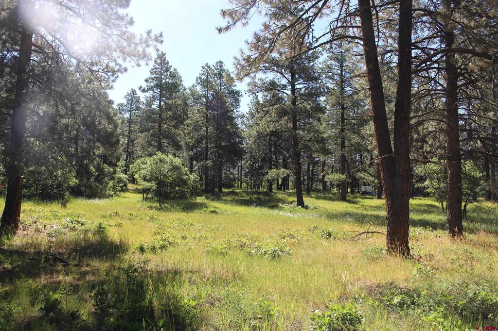 1422 Needles View Place Pagosa Springs CO 81147