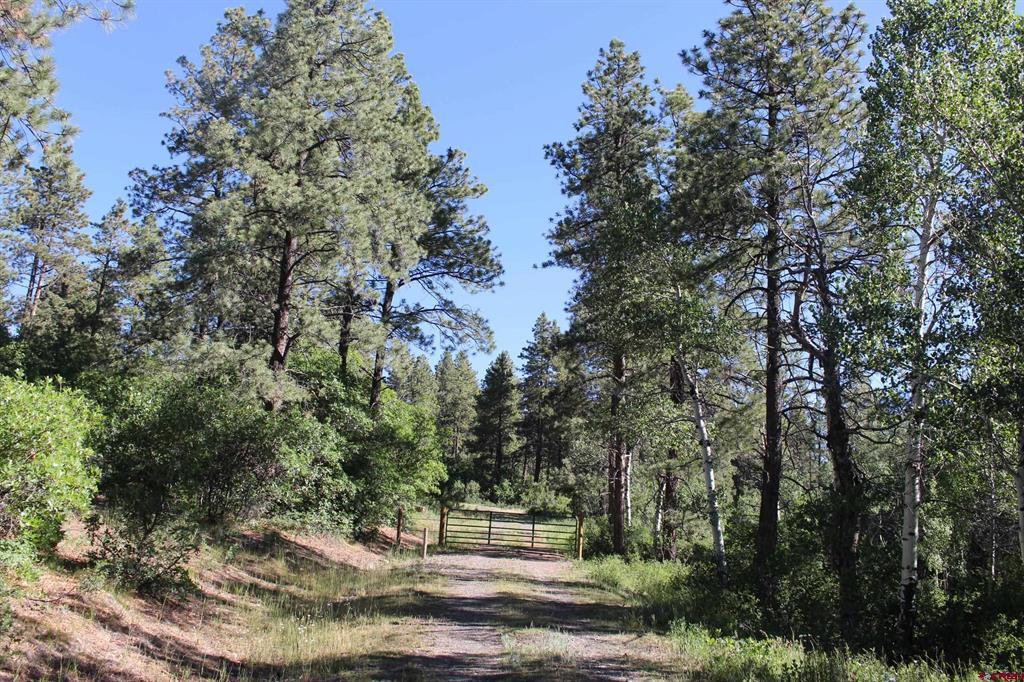 1422 Needles View Place Pagosa Springs CO 81147