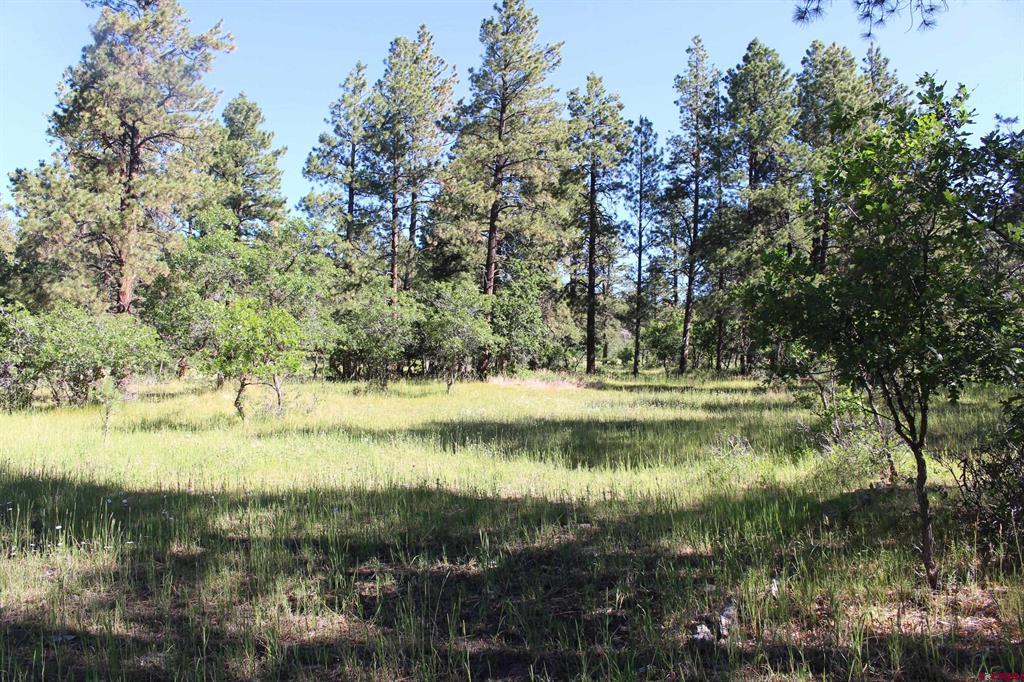 1422 Needles View Place Pagosa Springs CO 81147