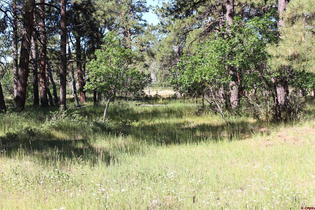 1422 Needles View Place Pagosa Springs CO 81147