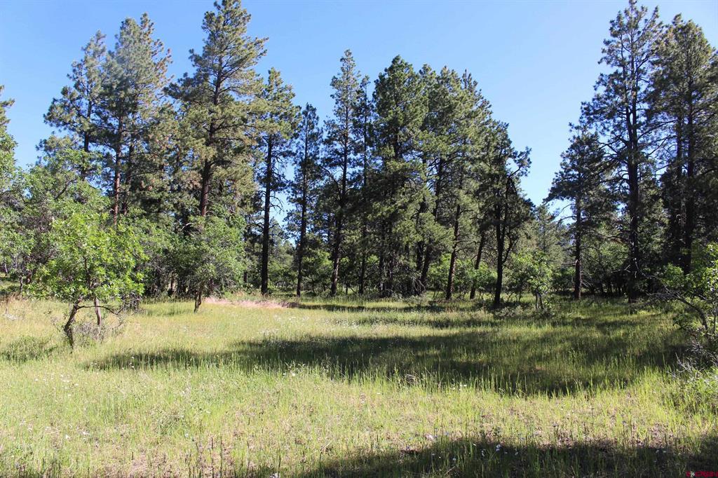1422 Needles View Place Pagosa Springs CO 81147