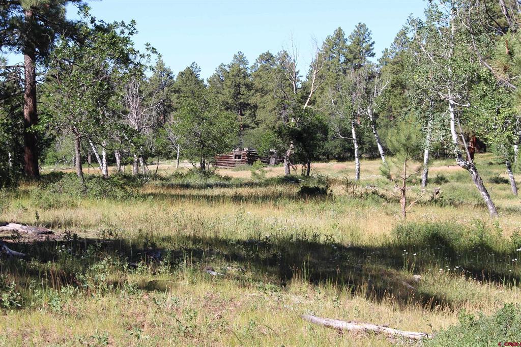 1422 Needles View Place Pagosa Springs CO 81147