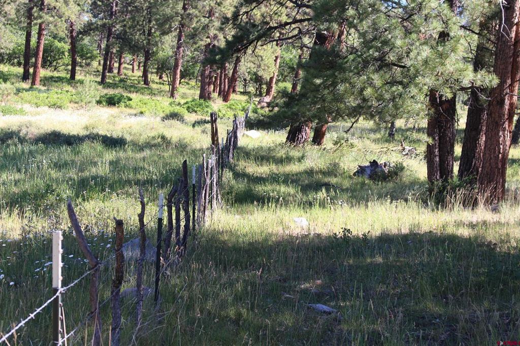 1422 Needles View Place Pagosa Springs CO 81147